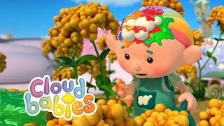 Cloudbabies - Slow Rainbow, Thank You Baba Blue, Harvest Moon | Full Episodes | Cartoons for Kids