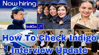 How to check an interview update in indigo website ️|| How to register in indigo airlines #indigo