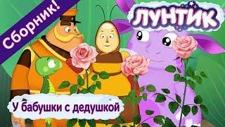 Лунтик  У бабушки с дедушкой  Сборник мультфильмов