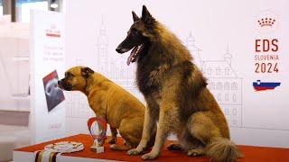 Royal Canin — Euro Dog Show 2024, Celje, Slovenija