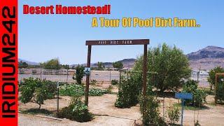 A Desert Homestead   Tour Of Poof Dirt Farm!