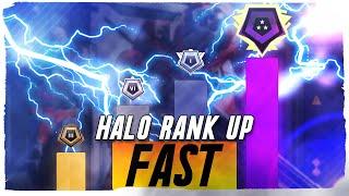 Ranked Guide for ALL MODES in Halo Infinite! | Tips and Tricks