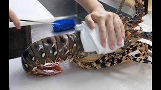 소리지르는 랍스터때문에 댓글이 난리가난 크레이피쉬/ $700 Giant Crayfish,Lobster Cutting, Sashimi&Pasta_Japanese street food