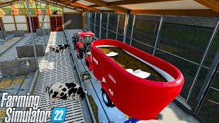 Total Mixed Ration for My Cows | Animals on Haut-Beyleron | Farming Simulator 22 | 4K Video