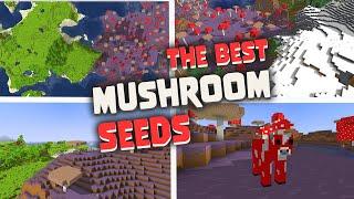 Top 6 Best Mushroom Biome Seeds for Minecraft  | Java Edition