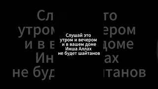 Слушай это утром и вечером и в вашем доме Инша Аллах не будет шайтанов #ислам #сура #рекомендации