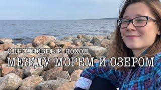 МЕЖДУ МОРЕМ И ОЗЕРОМ. Сходила в поход одного дня вдоль Финского залива / Котельский заказник