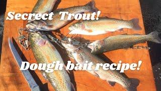 Secret Trout Dough Bait Recipe!