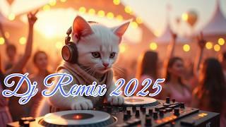 Dj Remix 2024 |dj breakbeat 2024 terbaru  |dj breakbeat 2024  |dj