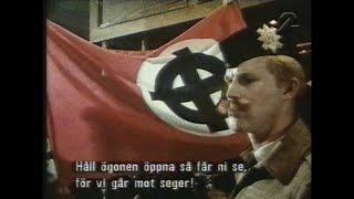 Nazismens Ideologi - Yrke Nynazist (SVT 1994-08-20)