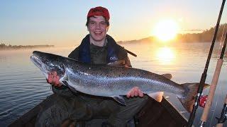 Salmon fishing in Naamisuvanto Pello Lapland Finland: 2014 Tornio River Tornionjoki lohenkalastus