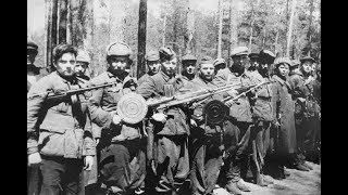 Советские партизаны против вермахта ..Или война в лесах в немецком тылу