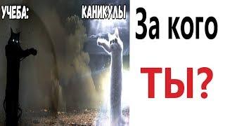 Лютые приколы. КАНИКУЛЫ ИЛИ УЧЕБА? Самое смешное видео! – ПОПРОБУЙ НЕ ЗАСМЕЯТЬСЯ - Domi Show