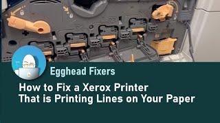 How to Fix a Xerox Printer That is Printing Lines on Your Paper