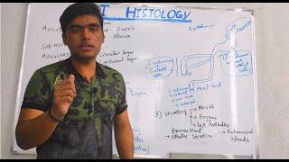 DIGESTIVE SYSTEM | HISTOLOGY | GI TRACT | MOTILITY | FUNCTION |  LAYERS