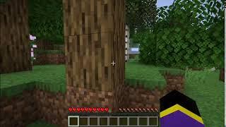 Minecraft, But if I Break a Block, the Video Ends