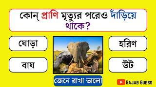 কোন্‌ প্রাণি মৃত্যুর পরেও দাঁড়িয়ে থাকে ||  Gk questions Bangla || Bangla Quiz || Gajab Guess