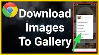 How To Download Images From Google To Your Gallery (Android)