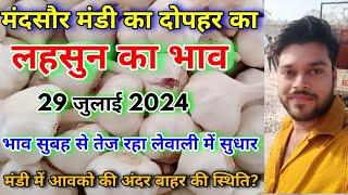 मंदसौर मंडी का दोपहर का लहसुन का भाव | Garlic Rate Today | Lahsun Ka Bhav Aaj Ka | Lahsun Rate Today