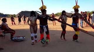 Tribal dance Sons e Cores do Xingu Horizonte