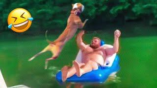 New Funny Animals 2024  Funniest Cats and Dogs #20  Pets Awesome
