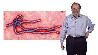 David Baltimore (Caltech): Introduction to Viruses