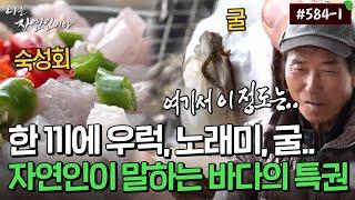 [자연인] 584-1 첫 만남에 숙성회, 홍합탕, 석화까지.. 호화스러운 바다 자연인의 밥상 MBN 231213 방송