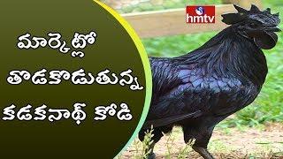 Huge Demand to Kadaknath Chicken | Special Story on Kadaknath Hen | HMTV