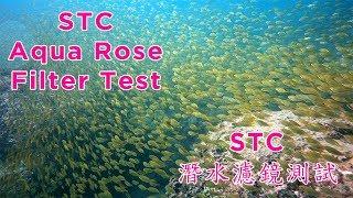 STC Aqua Rose Filter Test 潛水濾鏡測試