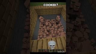 Minecraft Villager COOKED MOMENT 