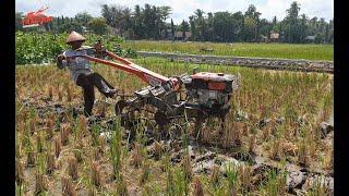 Kerja Santai!!Traktor Sawah Memulai Bajak Dari Tengah