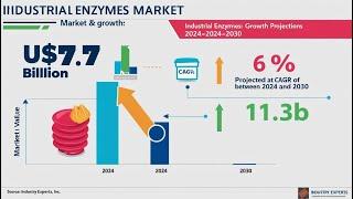 Industrial Enzymes - A Global Market Overview | Research Report by Industry Experts, Inc.