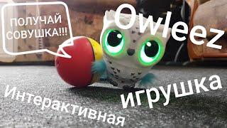 Интерактивная летающая сова Owleez