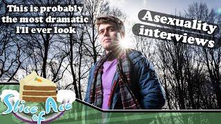 My experience being interviewed about asexuality (+ some absurd acephobia) | Slice of Ace