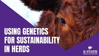 Using Genetics For Sustainability In Herds