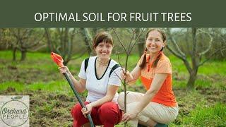 Fruit Tree Soil Checkup by Orchard People - All You Need is a Pair of Undies!