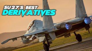 Russian SU-27 Flanker's Best Derivatives in the World