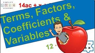 Terms, Factors, Coefficients & Variables!