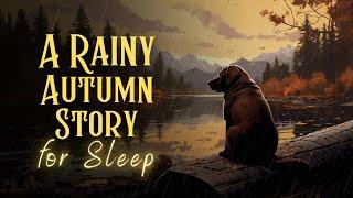 A Rainy Autumn Story for Sleep A Serene Autumn Hike in Oregon | Storytelling and RAIN