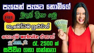  පැයෙන් පැයට නොමිලේ මුදල් දිනා ගමු | e money sinhala | online jobs at home