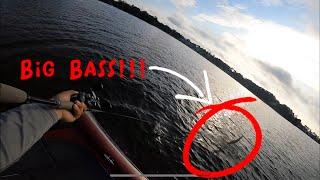 Herring Spawn Fishing (LAKE MURRAY, SC)