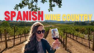 Wine Tasting in Spain's BEST Wine Region: Ribera del Duero 