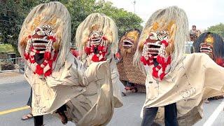 MERIAH !! Arak Arakan Barongan Blora & Reog Ponorogo Kesenian Barong SINGO LODRO TODANAN