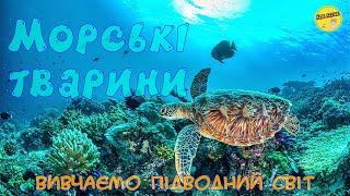 SEA ANIMALS | EDUCATIONAL VIDEOS FOR CHILDREN | underwater world