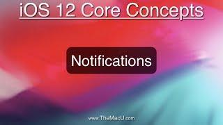 iOS 12 Tutorial: Notifications & Notification Management