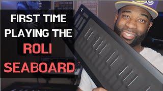 VERY FIRST TIME PLAYING THE ROLI SEABOARD!