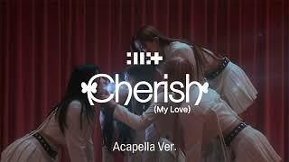 [Clean Acapella] ILLIT - Cherish (My Love)