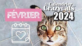 Le calendrier des Crazycats // Février 2024