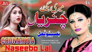 Chunaryia | Naseebo Lal | New Punjabi Song 2024 | Supper Hit Song- BN BUREWALA HD