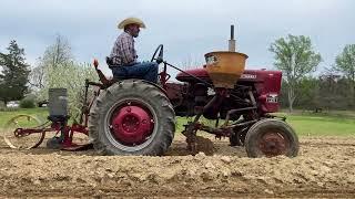 Planting Sweet  Corn